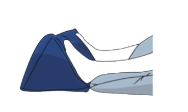 SHP CAREPUR Deltakissen