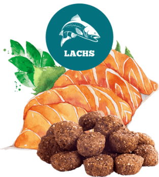 The GoodStuff Trockenfutter Lachs Adult
