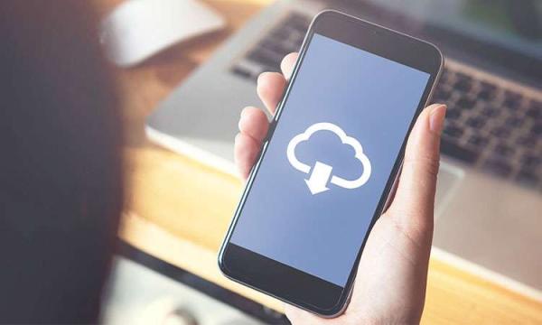 Burmeier Pflegebett DALI II Holzfederleisten, Bluetooth Handschalter