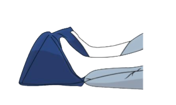 SHP CAREPUR Deltakissen