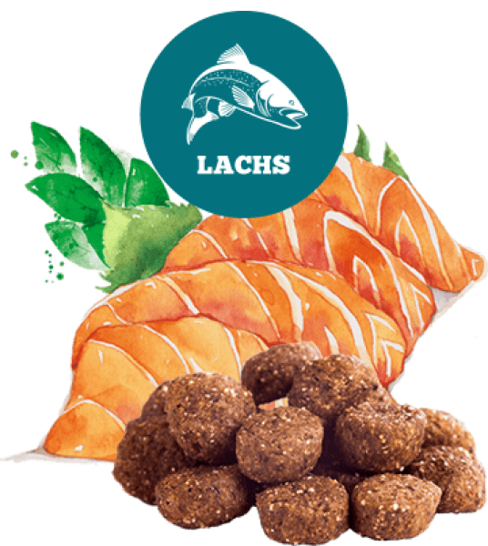 The GoodStuff Trockenfutter Lachs Adult